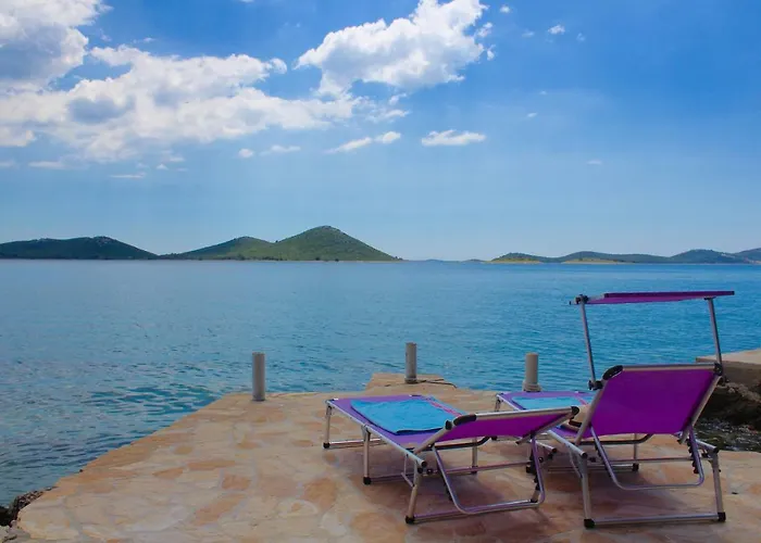 Seas The Day * Drage