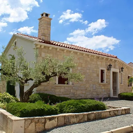 Sea's The Day ドラゲ